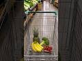 🛒 My Cart vs. Their Cart 🛒 #bhavnaskitchen