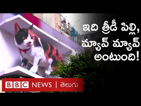 Video of 3D cat in Tokyo goes viral Video of 3D cat in Tokyo goes viral