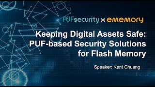 Keeping Digital Assets Safe: PUF-based Security Solutions for Flash Memory