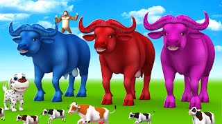 Paint the Animals - Giant Magical Color Buffalo in Jungle - Magical Farm Animals Videos Collection