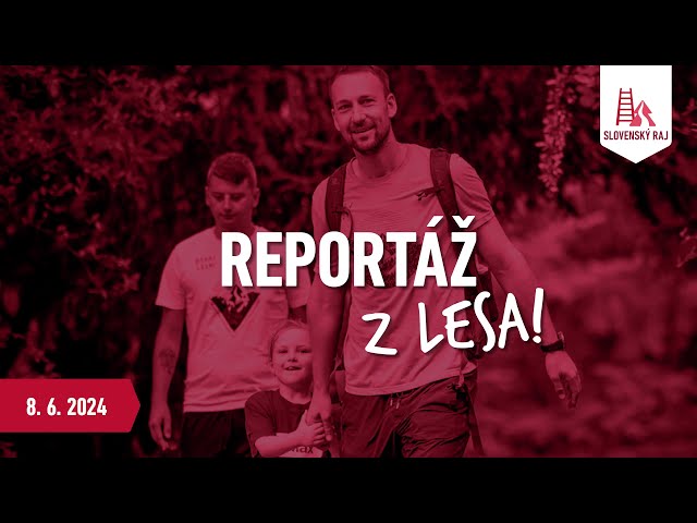 REPORTÁŽ Behaj lesmi Slovenský raj 2024