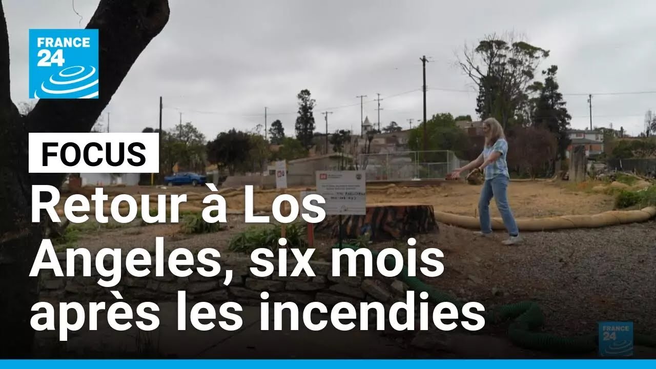 Incendies à Los Angeles : six mois après, les sinistrés toujours face au traumatisme