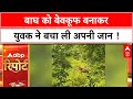 MP News: बाघ को बेवकूफ बना देखिए कैसे युवक ने बचाई अपनी जान ?