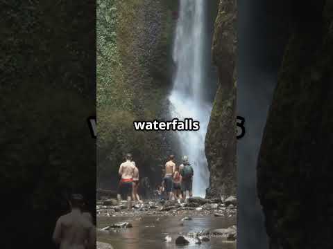 Vidéo de l’hébergement
