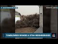 WATCH: Tumbleweed invades Utah neighborhood  - 00:35 min - News - Video
