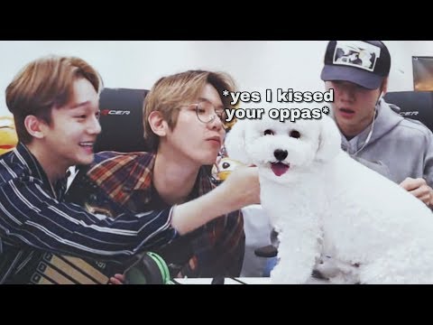 Vivi stealing your oppas for 5 minutes straight (Baekhyun, Sehun, Chen)