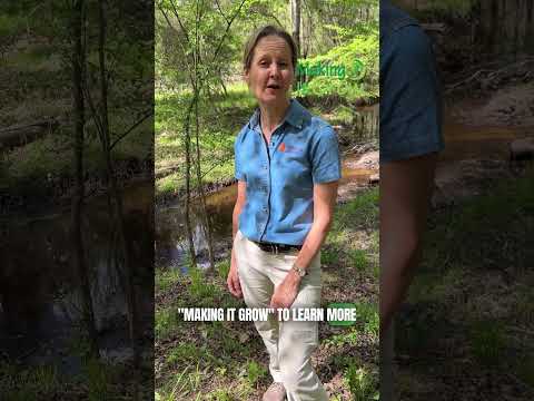 screenshot of youtube video titled Camden’s Hidden 800-Acre Gem