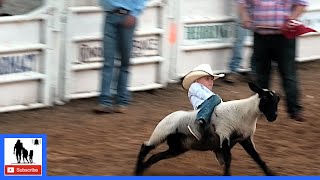 Mutton Bustin' 🦙 2021 Saint's Roost Ranch Rodeo | Saturday