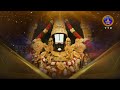 శ్రీవారి నిత్యపూజలివిగో || Srivari Nitya Poojalivigo || 08-02-2024 || SVBC TTD  - 09:27 min - News - Video