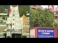 High Court Orders On 1000 Pillars Temple Reconstruction Issue  In Tirumala