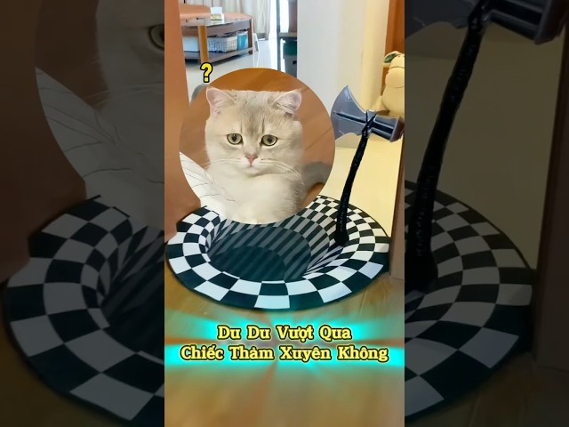 🐱Du Du Dũng Cảm Vượt Qua Chiếc Thảm Gây Ảo Giác #emthocreview #shorts #SenBoss #PetCatTikTok