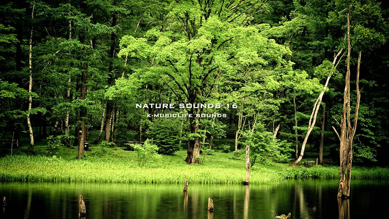 nature-sound-16-the-most-relaxing-sounds-youtube