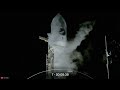 LIVE: SpaceX to attempt launch of secretive X-37B military spaceplane  - 00:00 min - News - Video