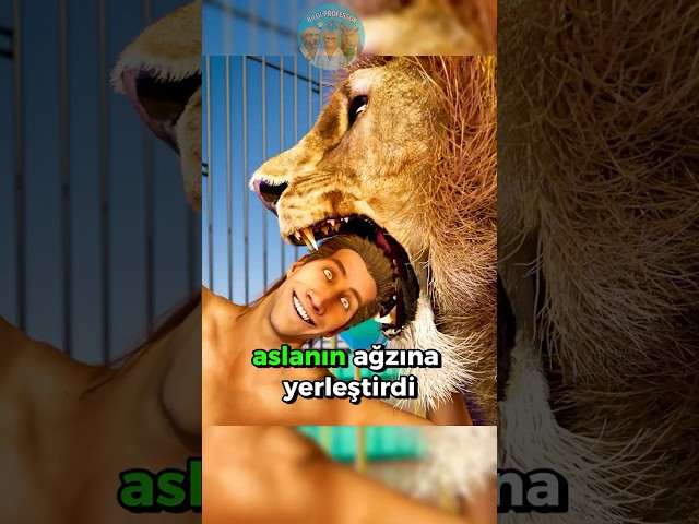 Aslan Çenesini Bir Anda Kapattı! 🦁😱💥