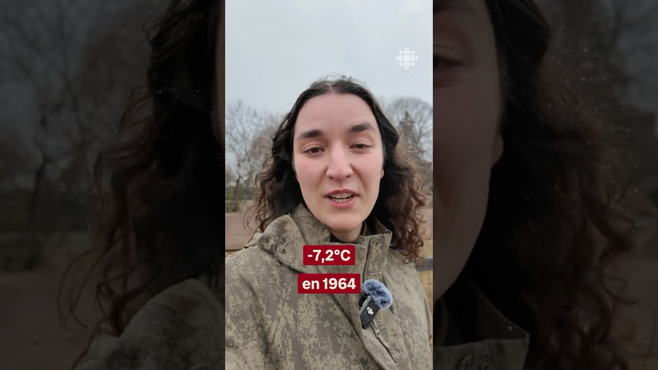 Des records de froid battus au Nouveau-Brunswick | Vidéojournal