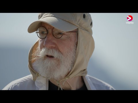 Philosopher of the sea'