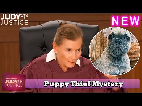 Judy Justice Season 3 | Puppy Thief Mystery | Judy Justice Full Episode 2024