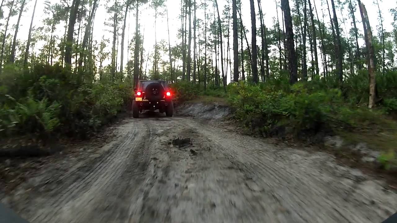 Ocala national forest jeep trails map #4