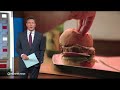 Farmers turn to seaweed in attempt to reduce methane emissions from livestock  - 07:46 min - News - Video