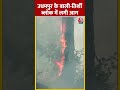 Jammu Kashmir: Udhampur के बाली-तिर्शी वन ब्लॉक में लग गई भीषण आग | #shorts #shortsvideo #viral  - 00:50 min - News - Video