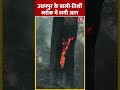 Jammu Kashmir: Udhampur के बाली-तिर्शी वन ब्लॉक में लग गई भीषण आग | #shorts #shortsvideo #viral