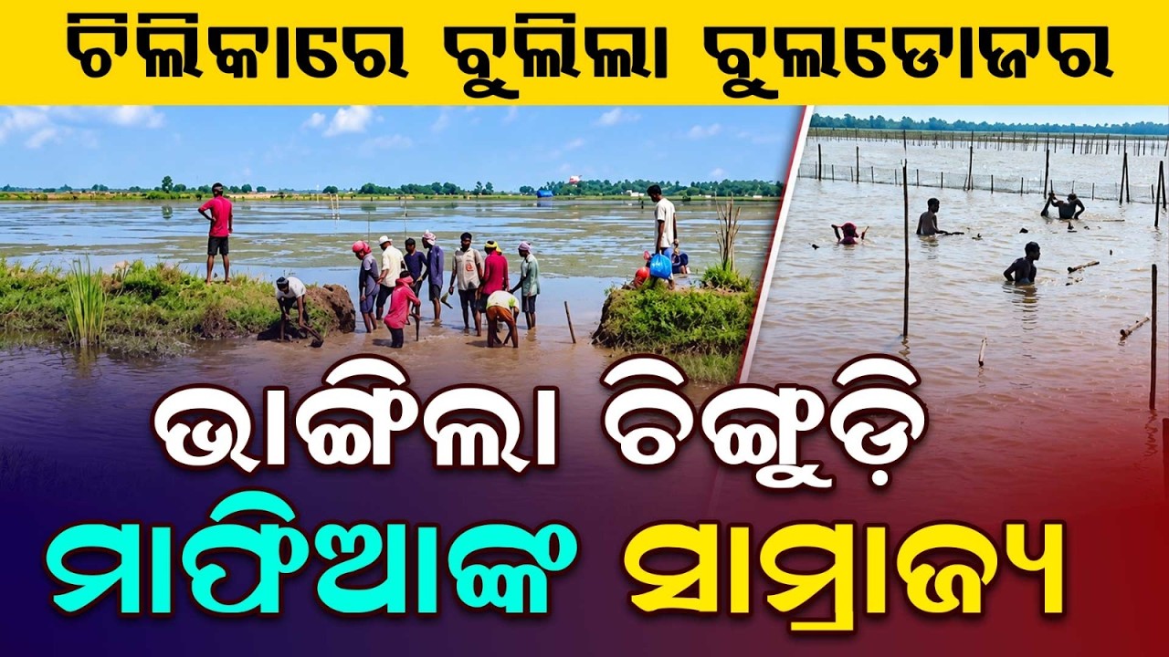 Clean Chilika Mission: Massive Eviction Drive Against Illegal Prawn Gheries | Argus News