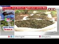 గంజాయి బ్యాచ్ ఆగడాలు..పట్టించుకోని పోలీసులు | Police Negligence On Ganja Batch | ABN Telugu - 04:27 min - News - Video