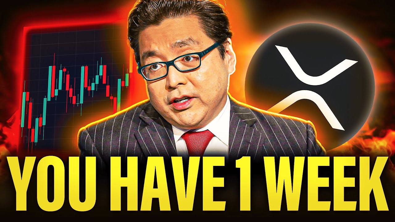 Everyone Is WRONG About This XRP & Crypto Crash - Tom Lee