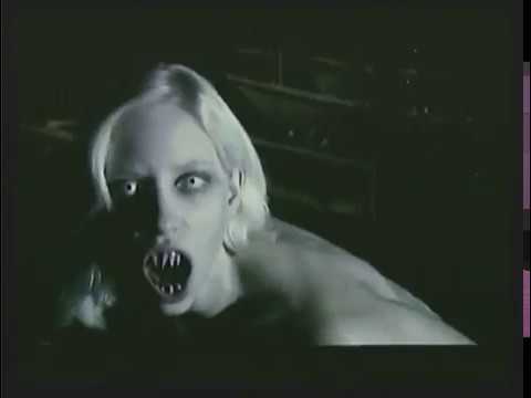 Forest of the Damned'