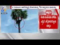 Watch: A man trapped on palm tree for 4 hours in Yadadri Bhuvanagiri district