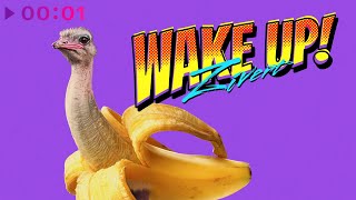 Zivert — WAKE UP! | Official Audio | 2022