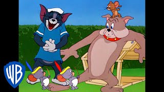 Tom a Jerry - Dobrodružství venku