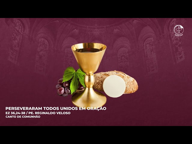 Preview do vídeo