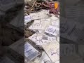 Hundreds of voter ID cards found in garbage dump in Maharashtra | SHORTS
