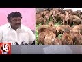 Sheep distribution is KCR's dream project: Tallasani Srinivas Yadav