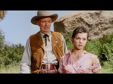 Four Guns to the Border'