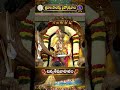 శ్రీవారి సాలకట్ల బ్రహ్మోత్సవాలు - చిన్నశేష వాహనం - 00:55 min - News - Video