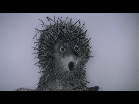 Hedgehog in the Fog'