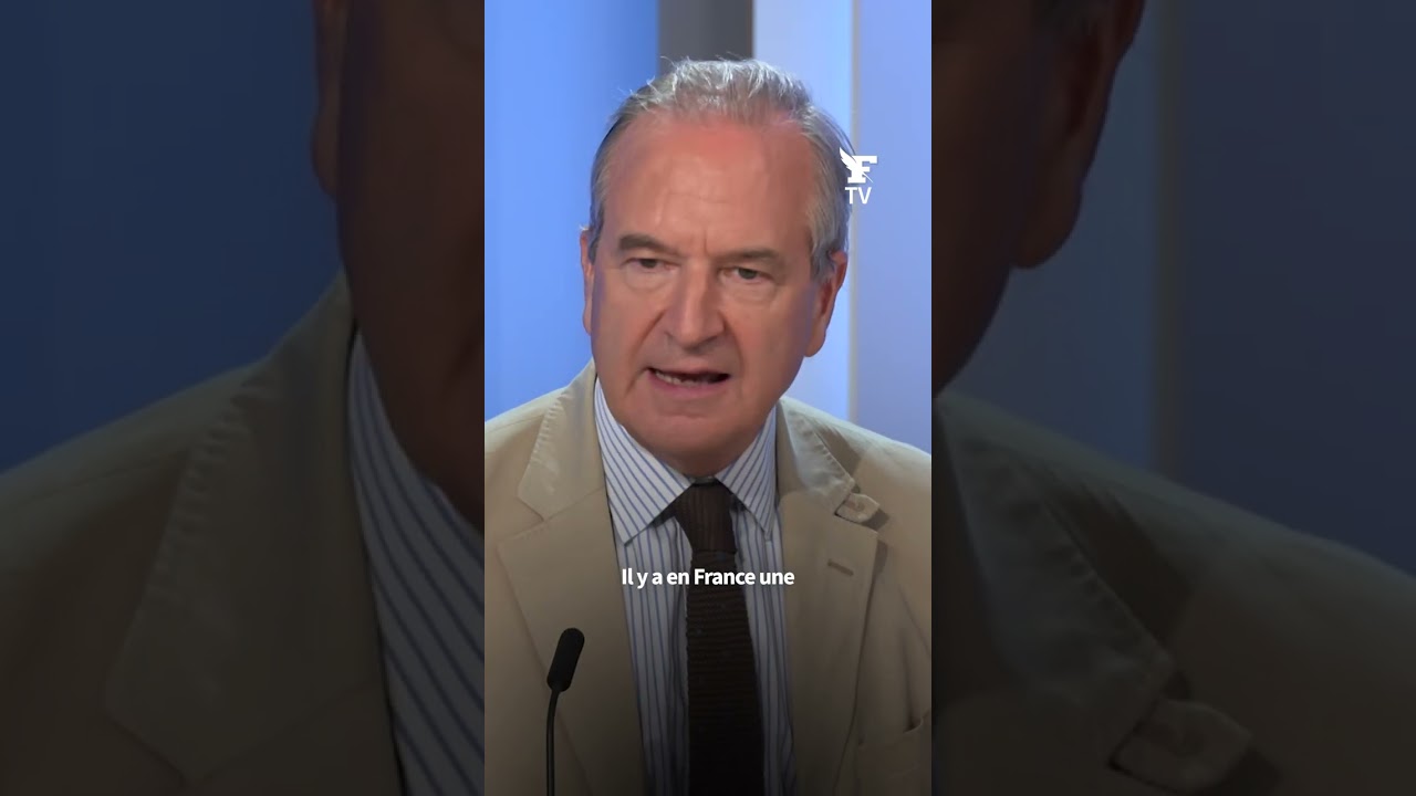 Vers un «observatoire des ingérences intérieures» ? Guillaume Roquette alerte dans Points de Vue (Le