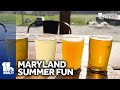 These Maryland farm breweries offer more than just beer