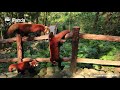 Panda Valley In Dujiangyan - A Good Place For Red Panda Fans | iPanda