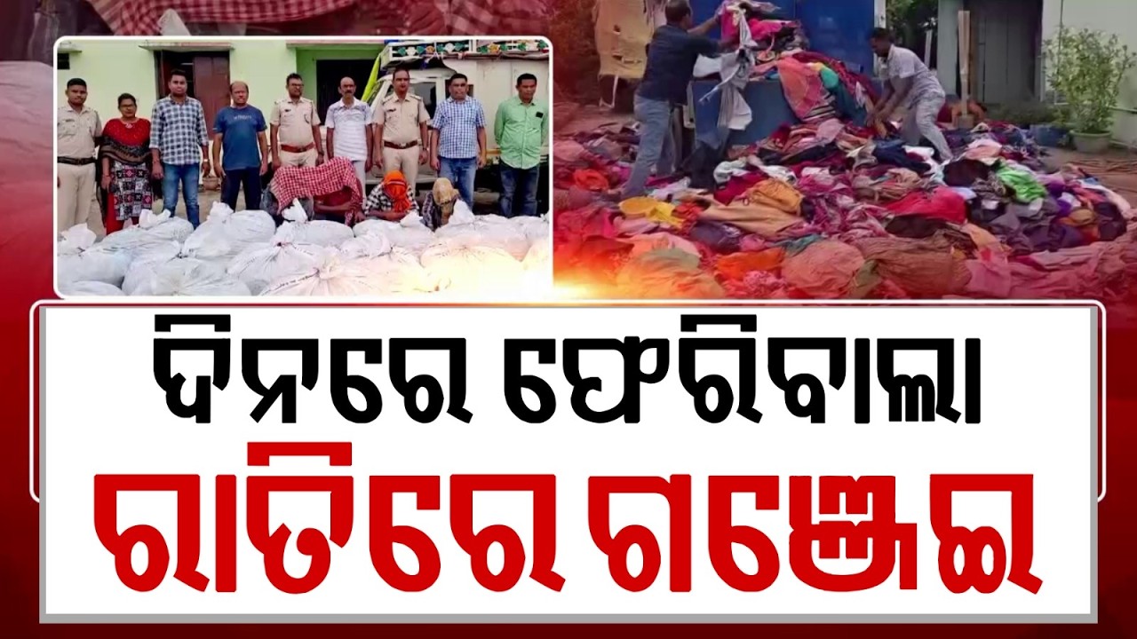 Kandhamal Ganja Syndicate Busted: 13 Quintal Ganja Seized Worth ₹12 Crore; 8 Arrested | Argus News