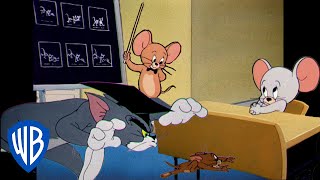 Tom a Jerry - návrat do školy