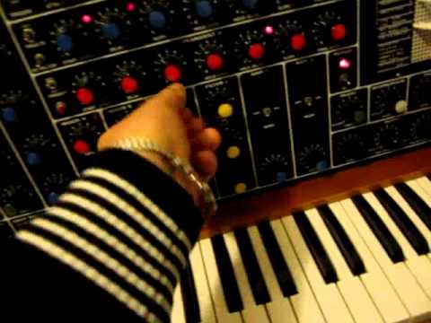 Maplin 5600s analog vintage synthesizer flagship (transients test1)