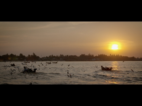 Myanmar's First Fisherwoman Shares her GFSI Story #GFSI Web Series When the GFSI Web Series went to Myanmar, we met with an incredible woman - with a fascinating story to share. In this episode, Dr. Toe Nandar Tin speaks to us about how she got into the fish industry as the first fisherwoman in her region, why she decided to start her own plant and how GFSI has impacted her and enabled growth for her operations. Myanmar's First Fisherwoman Shares her GFSI Story #GFSI Web Series When the GFSI Web Series went to Myanmar, we met with an incredible woman - with a fascinating story to share. In this episode, Dr. Toe Nandar Tin speaks to us about how she got into the fish industry as the first fisherwoman in her region, why she decided to start her own plant and how GFSI has impacted her and enabled growth for her operations.