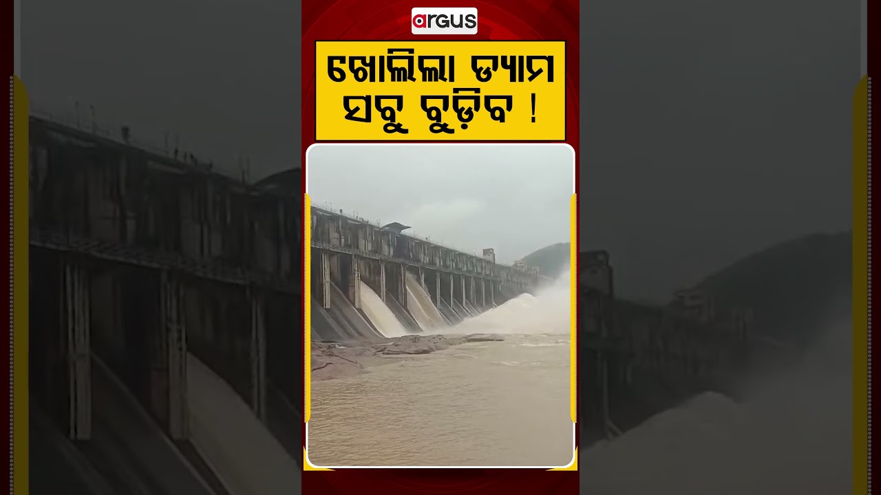 ଖୋଲିଲା ଡ୍ୟାମ ସବୁ ବୁଡିଲା ! | Odisha Flood | Flood Alert | Hirakud Dam | Natural Disaster | Argus News