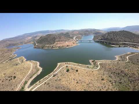 Video realizado por la propiedad