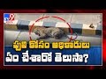 Efforts on to catch hiding leopard in Hyd