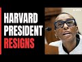 Harvard University Chief Quits, Cites Racial Animus In Resignation Letter