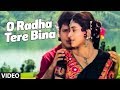 O Radha Tere Bina Full song | Radha Ka Sangam